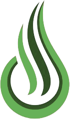 logo icon